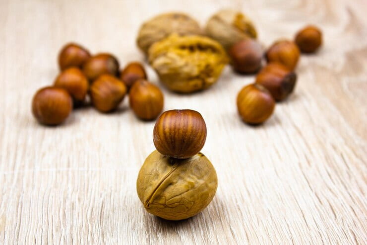 تصویر 1 از خرید فندق بو داده  + قیمت فروش استثنایی